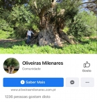 Facebook - Oliveiras Milenares