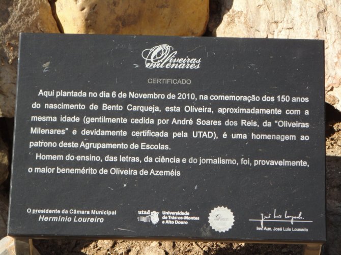 Placa alusiva