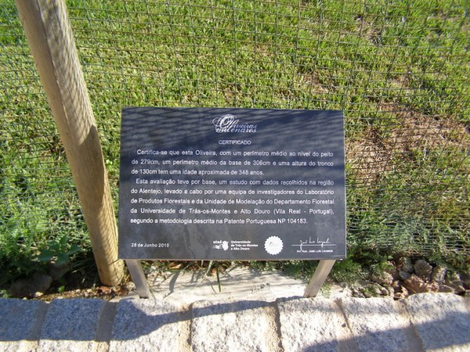 Placa de certificação