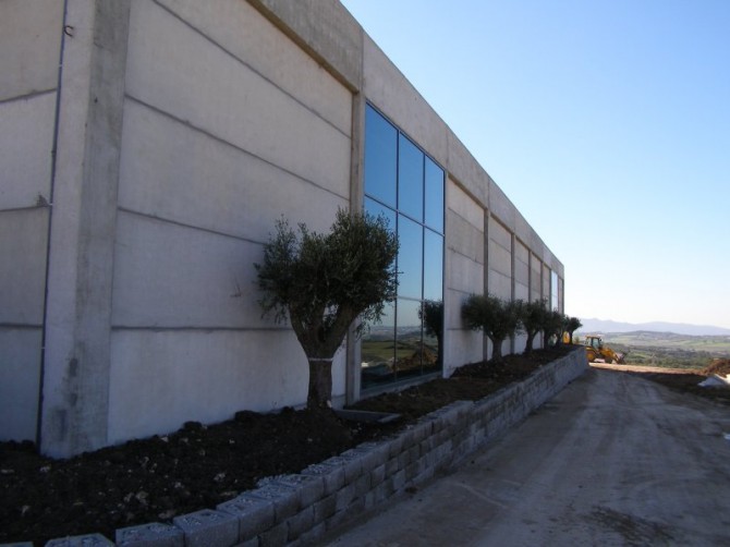 Oliveiras fornecidas à empresa Estêvão Luís Salvador, Almargem do Bispo, ampliação das instalações