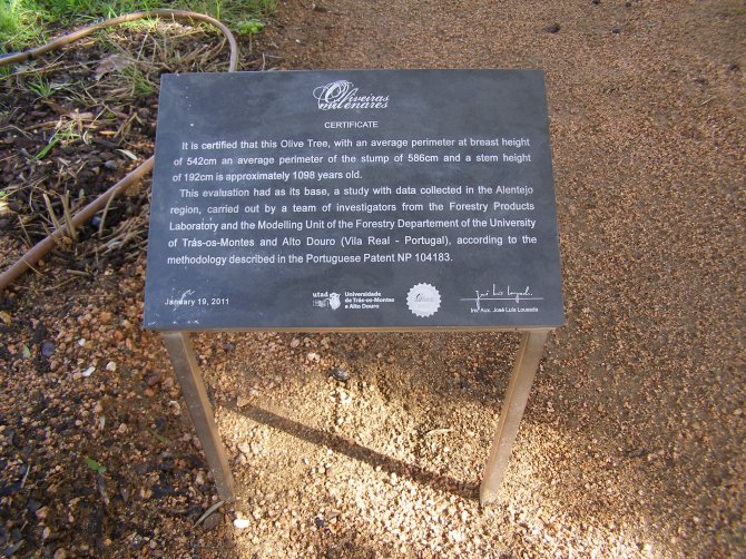 Placa de certificação em Inglês